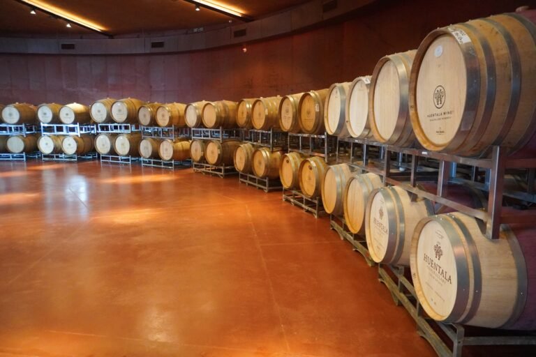 Barrel room in circular shape, interior of the bodega at Huentala Wines, in Gualtallary, Mendoza, Argentina