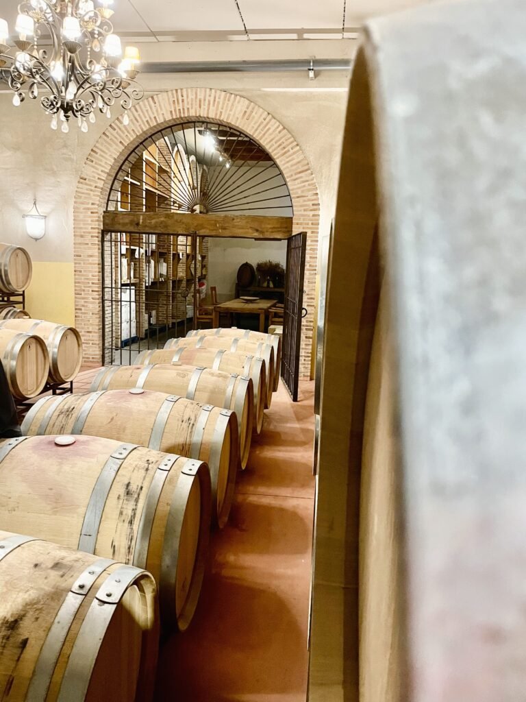 Wine Barrels at Vinos de la Luz, Ribera del Duero, Spain - Authentic Wine Aging