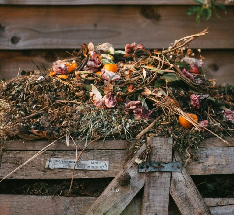 Composting for Sustainability: A bin filled with organic waste undergoing the composting process.