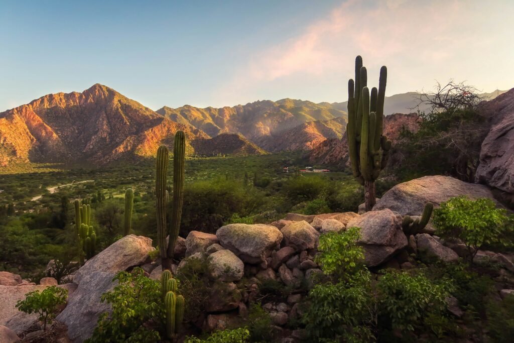 Picturesque road in Cafayate, Argentina, with vibrant red mountains and cacti in the foreground.