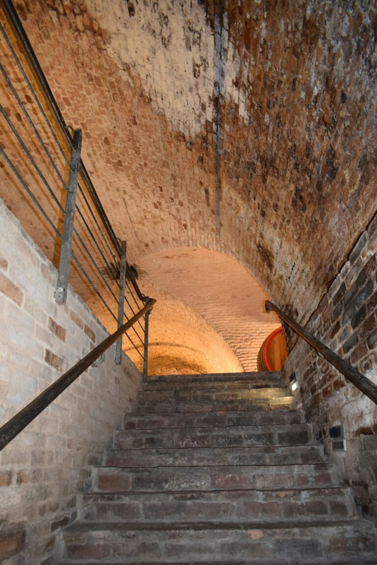 Old Wine Cellar Stairs: Explore the historic charm of a wine cellar with vintage stone stairs leading into the depths of a centuries-old cellar, filled with the aroma of aged wines.