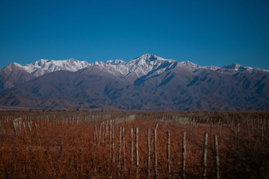 Mendoza vineyard nestled against the Andes mountains - Discover the scenic allure of Argentine wine country