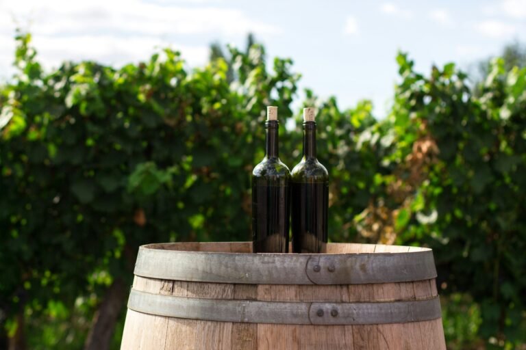 Two bottles of fine wine resting on a rustic barrel in a charming winery in Maipú, Mendoza, Argentina.