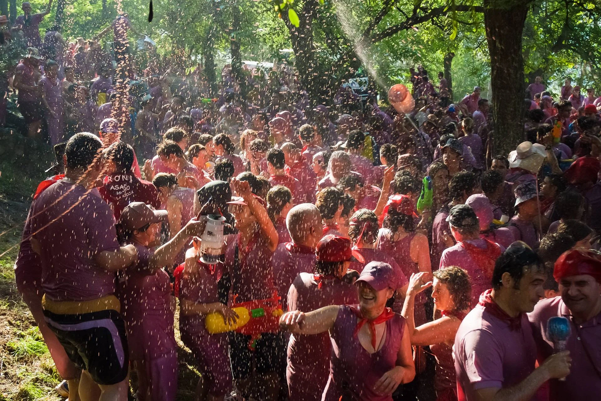 La Battalla del Vino celebration in Spain: Joyful participants drenched in wine during the lively June festival.