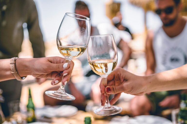 Friends toasting with glasses of white wine during an outdoor celebration.