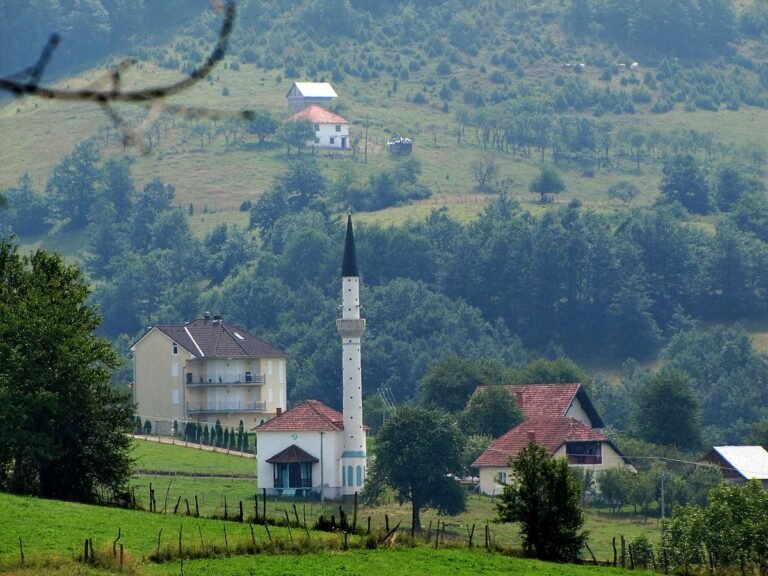 Small town houses surrounded by vineyards in Zupa, Serbia