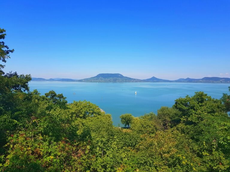 Scenic vineyard overlooking Lake Balaton in Hungary, known for its picturesque wine regions.