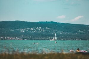 Scenic vineyard overlooking Lake Balaton in Hungary, known for its picturesque wine regions.
