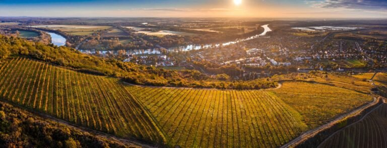 Aerial view of vineyards and a river in Tokaj wine region during sunset
