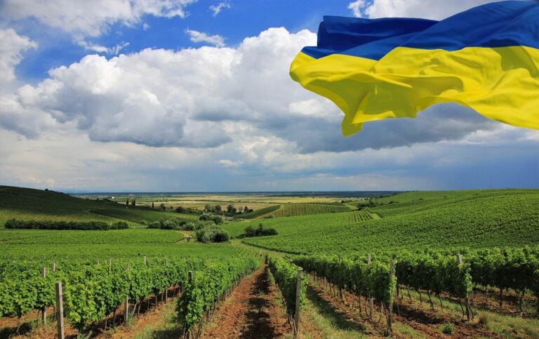 Lush green vineyard under a blue sky with the Ukrainian flag waving in the foreground.