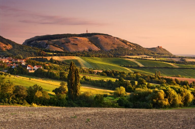 Scenic view of Pálava Hills with vineyards and a small village at sunset