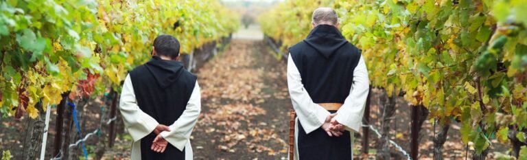 Two monks walking through a vineyard in autumn.