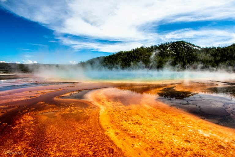 Stunning view of Yellowstone Lake surrounded by natural landscapes and clear skies, highlighting the tranquil waters of this iconic U.S. destination.