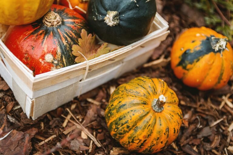 Assorted colorful pumpkins in a wooden crate, showcasing vibrant autumnal colors.