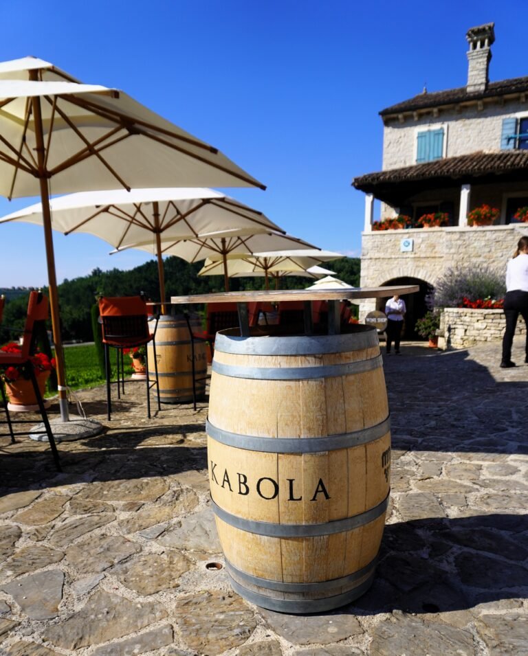 A rustic patio with tables and barrels set for outdoor wine tasting in the middle of a picturesque vineyard in Istria.