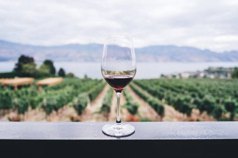 A glass of red wine placed in front of a scenic vineyard with rolling hills in the background.