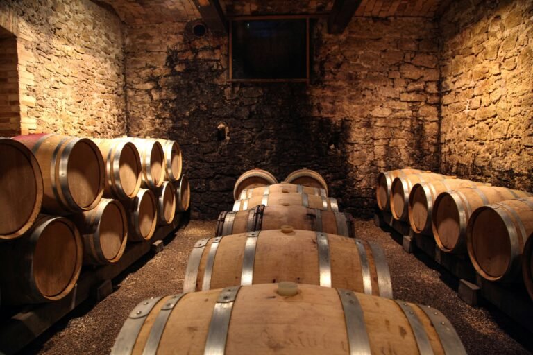 A rustic wine cellar with rows of wooden oak barrels stacked against stone walls, used for aging wine.