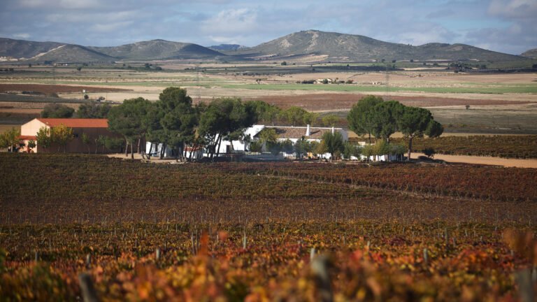 Enrique Mendoza Winery in Alicante with wine barrels