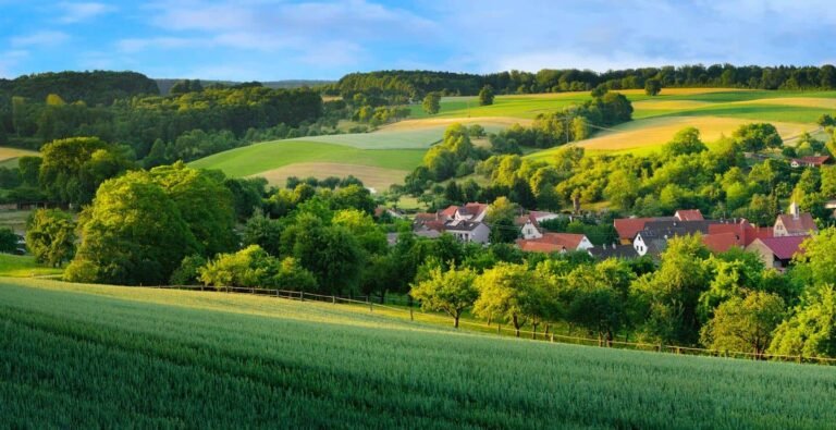 Peaceful countryside landscape near Frankfurt, Germany, with rolling green hills, traditional houses, and dense forests in summer sunlight.