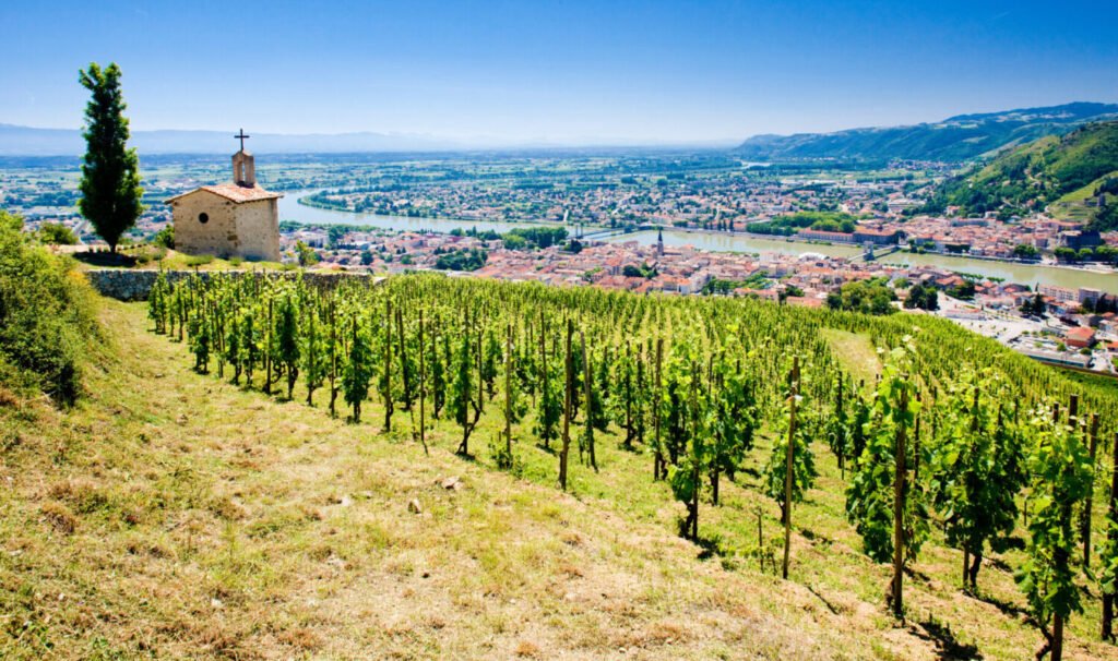 Scenic view of a vineyard on a hillside overlooking the Rhône Valley and a picturesque village in France.