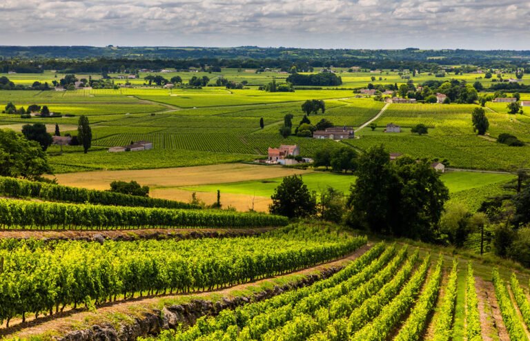 Expansive green vineyards in Bordeaux, France, stretching across rolling hills under a cloudy sky — one of the most famous wine regions in the world.