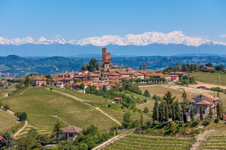 Panoramic view of vineyards surrounding a hilltop village in Piedmont, Italy, with the Alps in the distance — home to Barolo and Barbaresco wines.